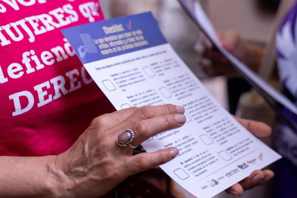 Pedagogia_electoral_mujeres_crean (3)